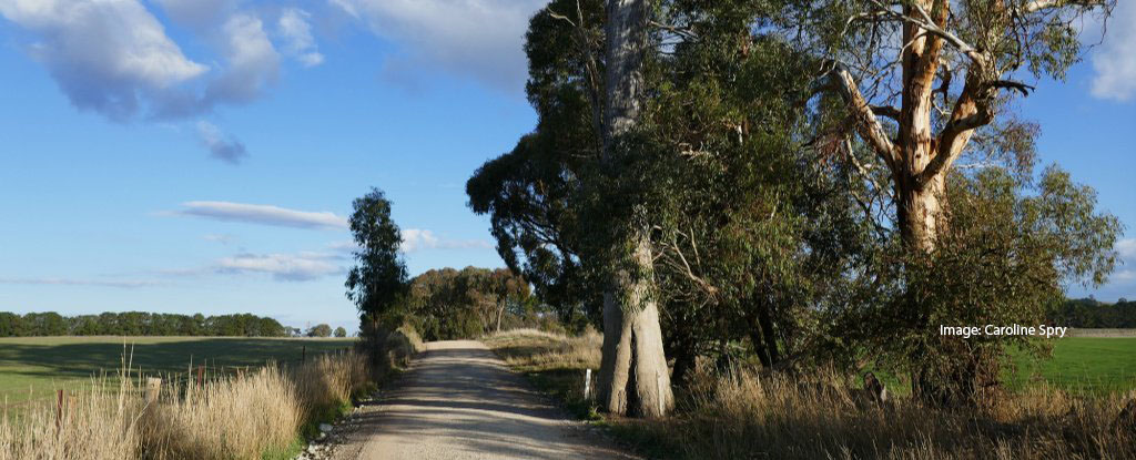 main image for article: Artefact reveals resilience of Aboriginal cultural knowledge