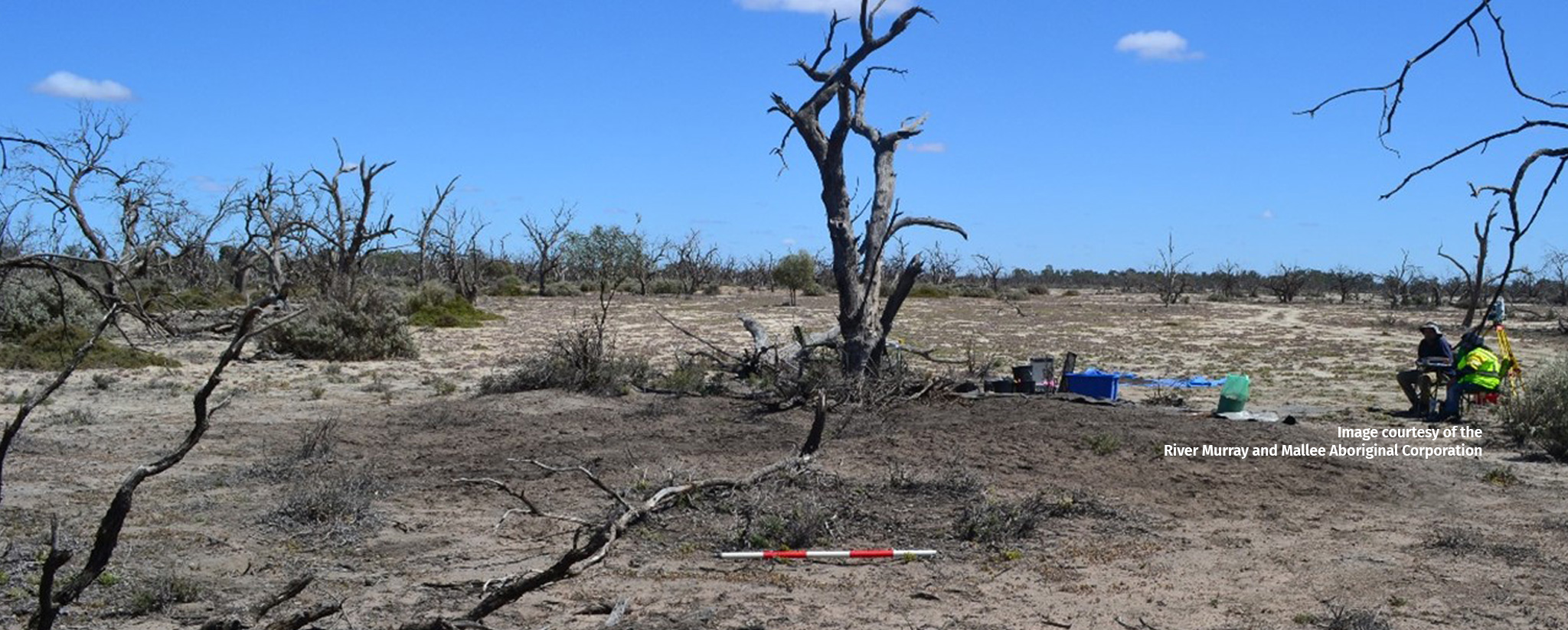 main image for article: Murray River earth mounds reveal Aboriginal cooking practices spanning 4000 years