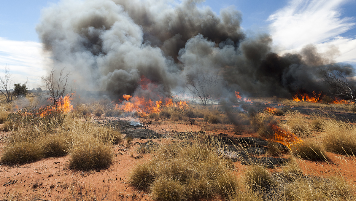 main image for article: Are landscape changes linked to loss of traditional Indigenous Australian burning techniques?