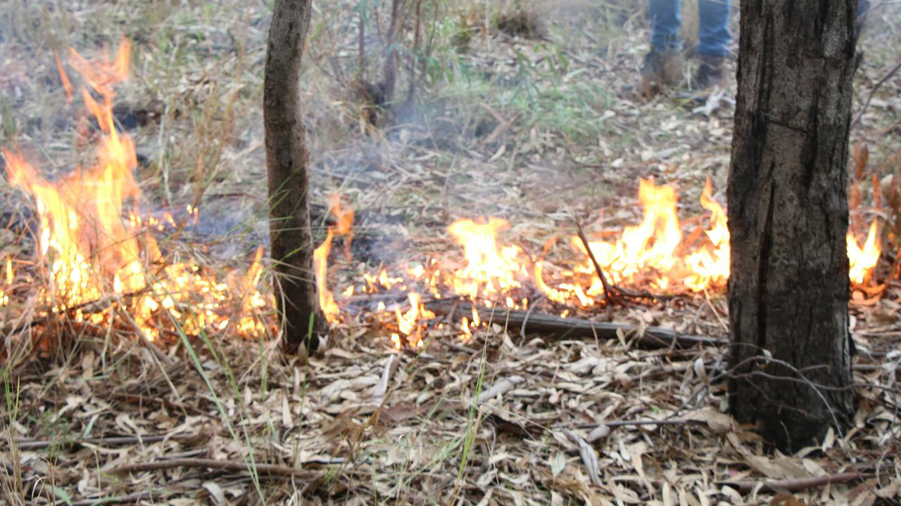 main image for article: How old is the Tasmanian cultural landscape? 