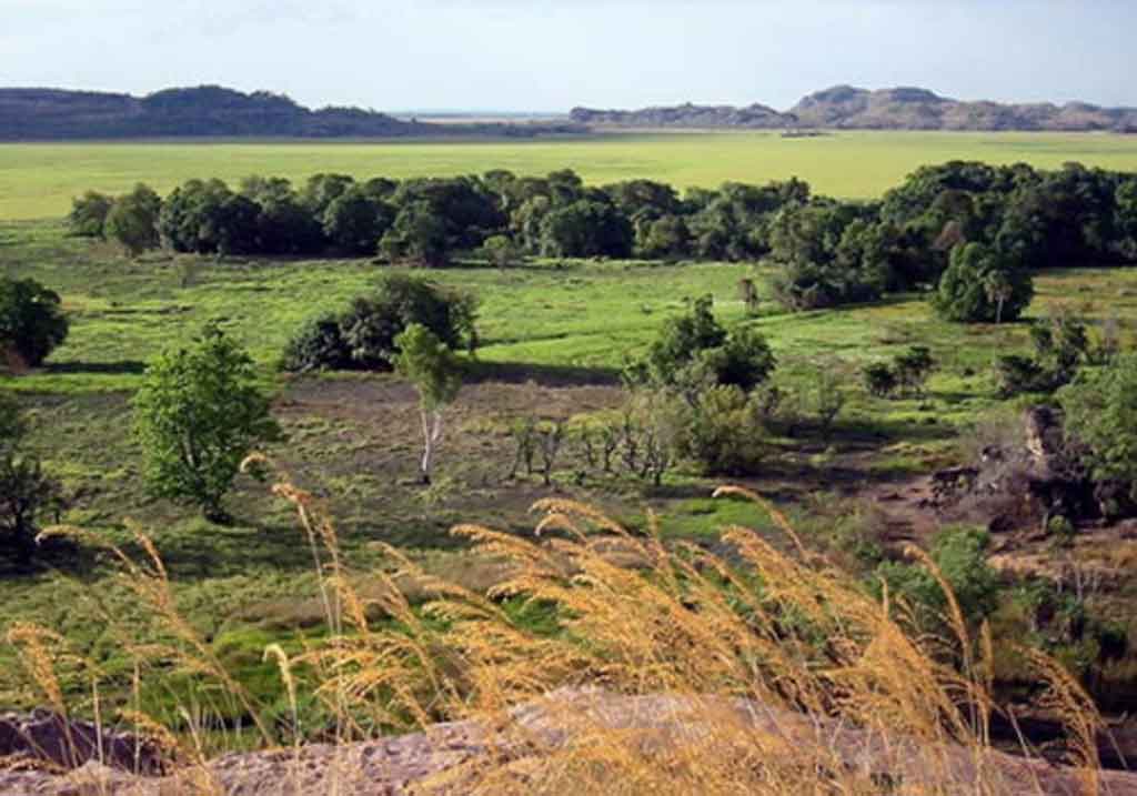 main image for article: Nuclear science helps prove earliest Aboriginal occupation