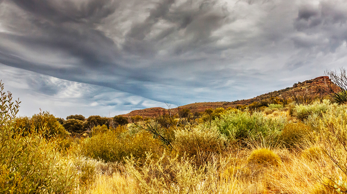 main image for article: Ancient foods provide clues to past rainfall